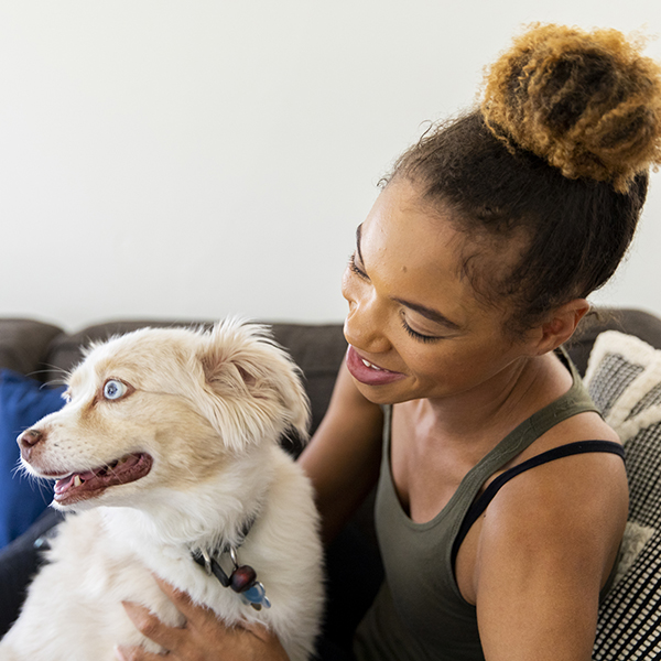 Woman And A Small Australian Shepherd