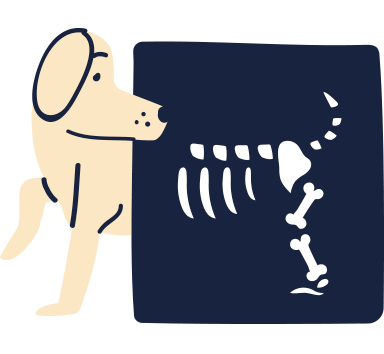 illustration of dog getting an x-ray