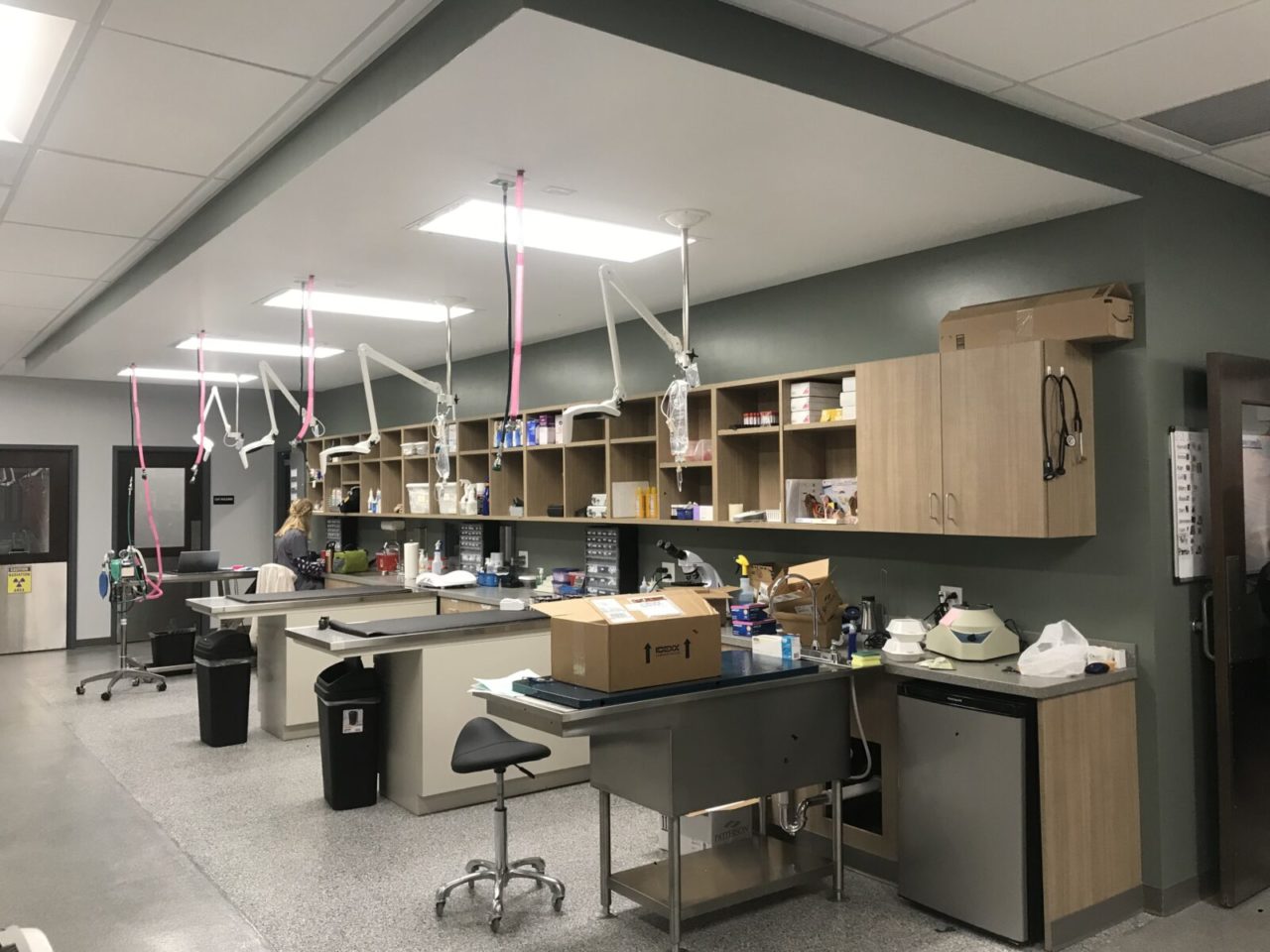 Veterinary Hospital In Crawfordsville, IN Crawforsville FV