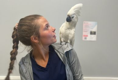 Exotic Pet A woman with braids has a white bird resting on her shoulder