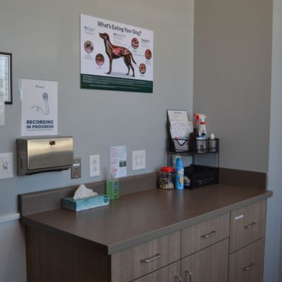 Room 2 carolina-vet-lobby-sineath