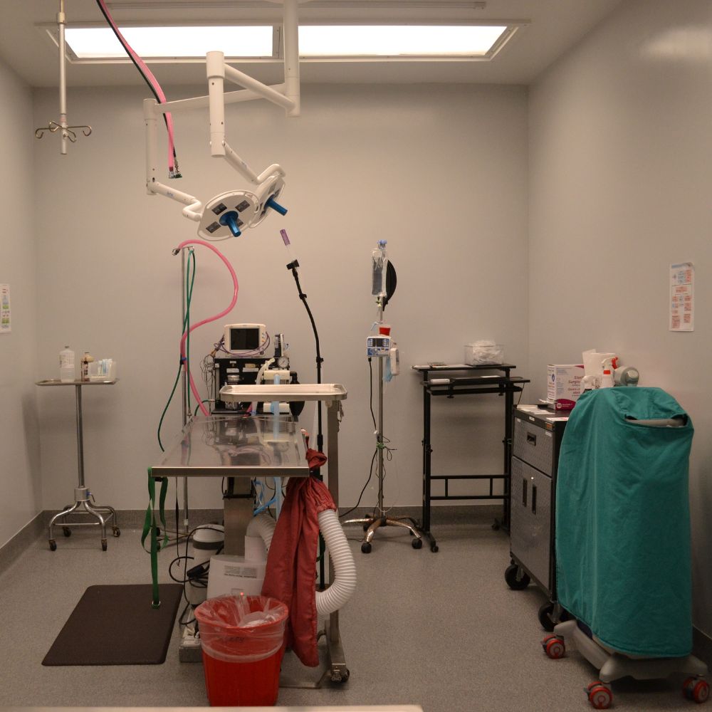 surgery room