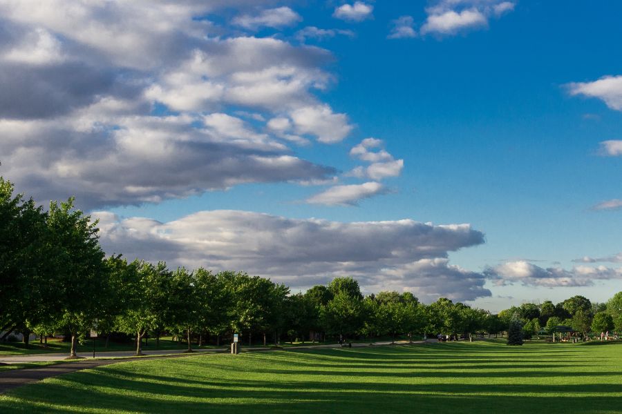 Summer Day in Indiana